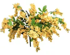 Wisteria Bush 32in Yellow