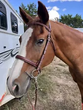 Stubben Bridle Used English Bridle Full Bridle English Tack Used Horse Tack