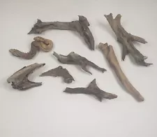 Lot of 8 Natural Driftwood Pieces Craft Terrarium Decor