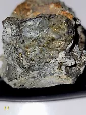 Gold/Silver Ore From 1866 Ward Silver Mine, High Grade Gold Sulfides Specimen