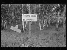 Land for sale, Aitkin County, Minnesota 1940s Old Photo 1