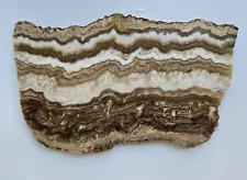 Banded Taramisu Onyx Lapidary Slab 169 grams