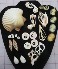 Seashells Misc. Lot-Sliced Conch, Cabachens, MoP Chips, Cameos-for Jewelry Makin