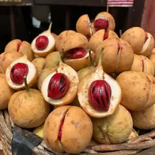 nutmeg seeds for sale