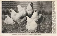 Chickens for Sale King Hardware Company Atlanta Georgia GA 1908 Postcard