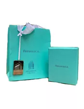 Tiffany & Co Fifth Ave Landmark Flagship VIP Shopping Gift Bag Silver Charm Box