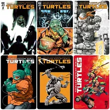 TEENAGE MUTANT NINJA TURTLES #2 *COVER SELECT* VARIANT PRESALE 9/11 NM