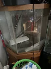 corner fish tanks for sale