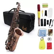 SLADE Alto Eb Saxophone Vintage Red Bronze Sax W/ Case Mouthpiece & Accessories