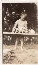 VINTAGE PHOTO CUTE BOY PUPPY DOGS SPANIEL TERRIER MUTT RETRIEVER AMERICANA