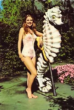 1978 FL Weeki Wachee Mermaid Show with Seahorse Prop MINT 4x6 postcard CT32