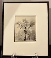 Ansel Adams Oak Tree Snowstorm Yosemite Repro Lithograph 12” X 10” Framed Print