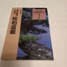 Japanese Pine Oak Bonsai For Beginners Nhk Publishing 1995 Edition