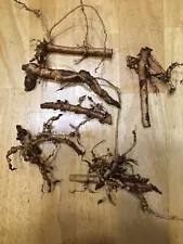 Start Next Year's Crop Today. 5 Organic Cascade Hop Rhizomes, $35.00