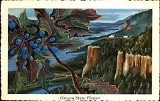 Oregon State Flower Grape artist Ken Haag aerial view unused vintage postcard