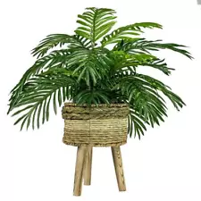 tropical flowering plants for sale