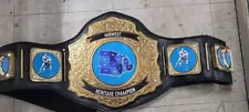 Championship Belt Wrestling MMA Boxing WWE TNA AEW