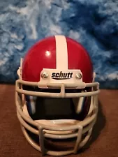 Schutt Football Mini Helmet Number 15