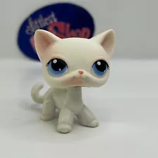 SHORTHAIR CAT #64 - Authentic Littlest Pet Shop - Hasbro LPS