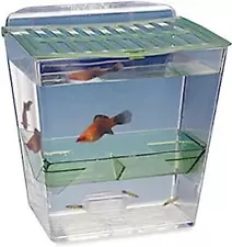 breeder aquariums for sale