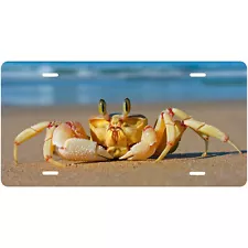 Custom Golden Ghost Crab on Beach Novelty Front License Plate - Carribean decor