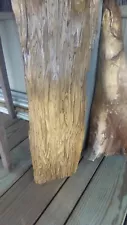 Beautiful Driftwood