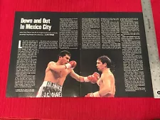 Julio Cesar Chavez Defeats Greg Haugen For 85-0 Record 1993 Print Article