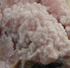 Rhodochrosite, South Africa - Mineral Specimen for Sale