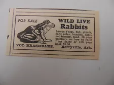 1951 WILD LIVE RABBITS JUMBO FROGS For Sale small vintage art print ad