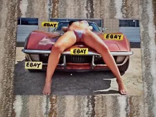 Artistic 4X6 Glossy Photo Woman In Skimpy Bikini Laying On Hood Of 1970 Corvette