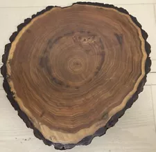 Oak Live Edge Wood Slice Table Top Round Epoxy Centerpiece Large 18x16x2