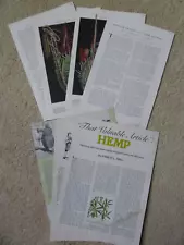 Article Bambo, Barnyard Grasses, Kentucky Bluegrass, Yellow Foxtail, Hemp Plant