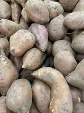 Fresh Sweet Potato (5 LBS) The actual vegetable