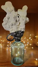 Unique and Rare Jamie Dietrich Sea Coral Glass Bottle Art Home Decor Item 1 Of 2