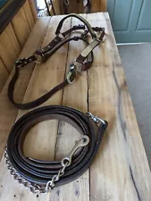 Equine Western Show Halter Horse Size German Silver with Leather Lead Chain