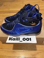 NIke 1/2 Cent Size 11.5 Royal Penny Half Cent Air Zoom 344646-401 B