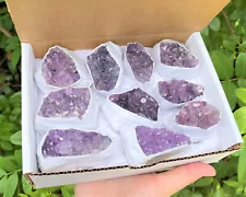 Wholesale Bulk Natural Amethyst Crystal Clusters: 10-16 Piece Lot (Quartz Geode)