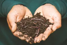 SALE!!! Organic Fresh Worm Castings Compost Natural Garden Soil Plant Fertilizer