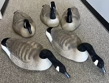 Lot of 5x Big Foot Canada Goose Decoys Sitting Geese Hollow Blow Molds Big Foot