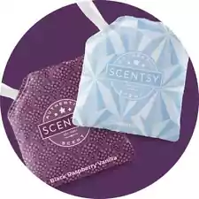 Scentsy Buddy SCENT PAK & Unplugged ~ Select Vintage & Limited Edition Scents!ð¦