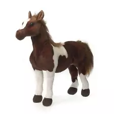 brown and white paint horse for sale