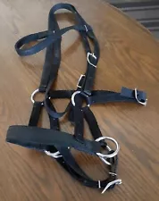 Two Horse Tack Bitless Side-Pull Nylon Bridle & Reins Horse Size / Slightly Used