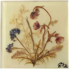 Dina Acrylglass Handmade Natural Dried Flower Germany Bavarian Alps Wall Hanging