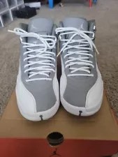 Size 10 - Jordan 12 Stealth 2022