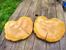 1 large cherry wood slice; rough cut, beautiful piece