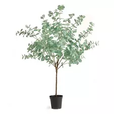 Eucalyptus Tree Drop-In 49" - Green