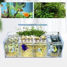 AquaponicFishTank4-GridDesktopFishTankRectangleAcrylicBettaFishTank