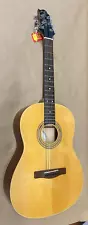 Samick Greg Bennett Acoustic Guitar st9-2