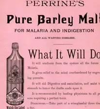 1887 Pennsylvania Perrines Pure Barley Malt for Malaria 2 Side PA Gazetteer