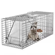 32" Live Large Animal Trap Humane Raccoon Cage Spring Loaded Folding w/Iron Door